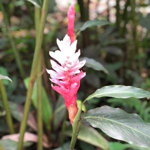 Meet your Posher, Andi